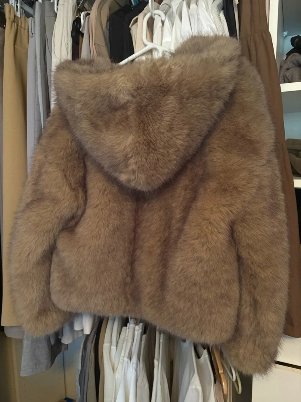 Zara Faux Fur Hooded Jacket in Tan - Picture 3 of 4
